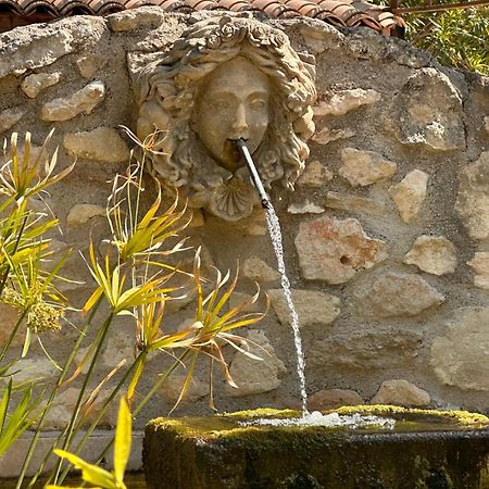 Mas Des Bambous Ξενοδοχείο Saint-Rémy-de-Provence Εξωτερικό φωτογραφία