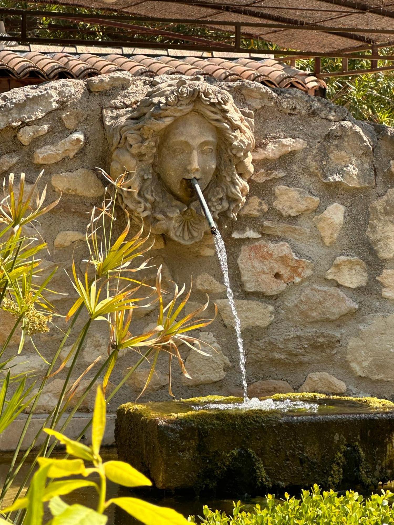 Mas Des Bambous Ξενοδοχείο Saint-Rémy-de-Provence Εξωτερικό φωτογραφία